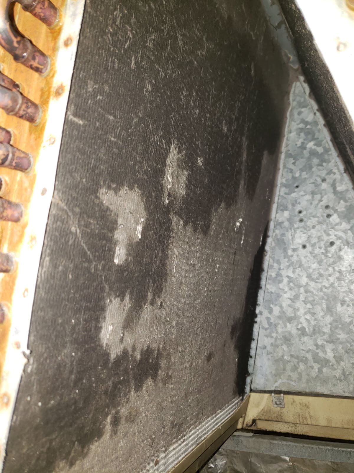 Efficient HVAC Maintenance Solves Airflow Issue image